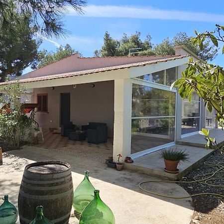 B&B Montedarena Pulsano Extérieur photo