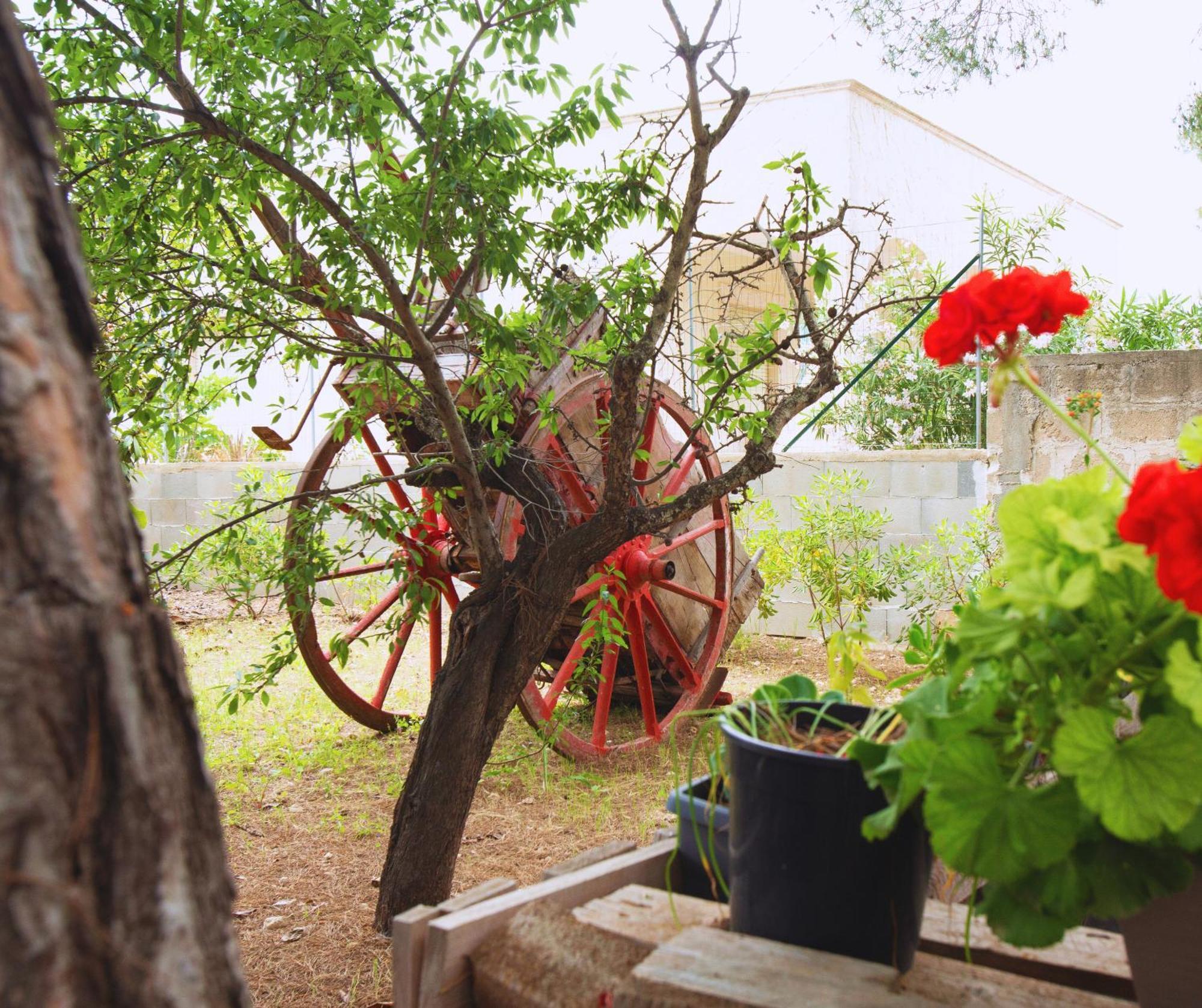 B&B Montedarena Pulsano Extérieur photo